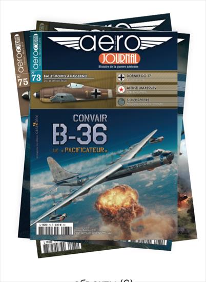 Aero Journal Caraktere - 7.54.38.png
