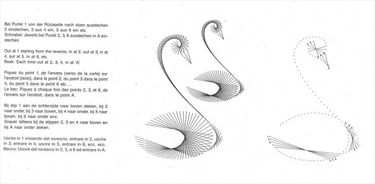 Zwierzaki - Madeira instruct - Swans.jpg