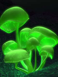 TAPETY - Green_Mushroom.jpg