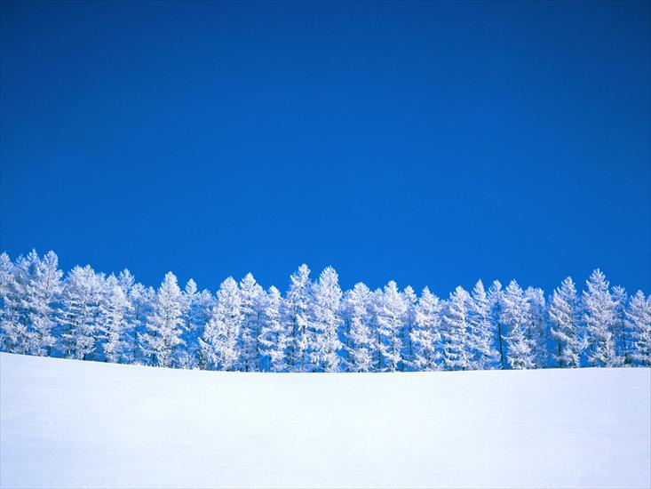 Beautiful Winter - 38.jpg