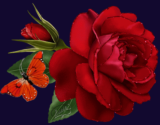 gify róże - VBDBD.gif