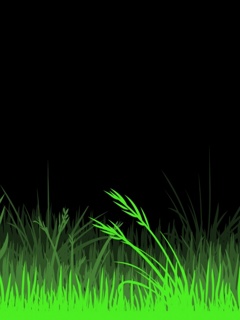 KRAJOBRAZ - Grass.jpg