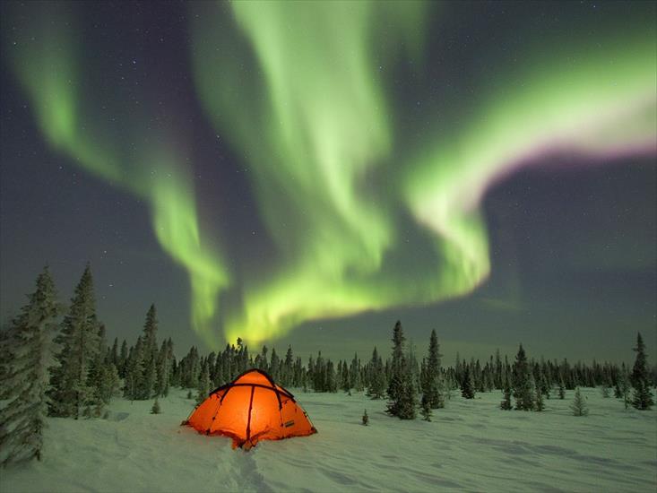 20 Forces of Nature Best Wallpapers - Camping Under the Northern Lights, Boreal Forest, Canada.jpg