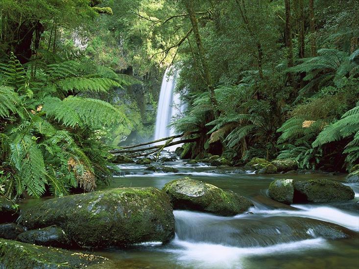 WIDOKI - Hopetoun Falls, Aire River, Otway National Park, Victoria, Australia.jpg