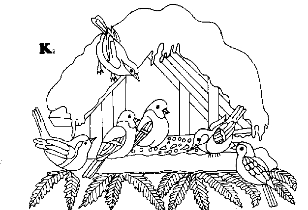 Zima - karmnik ptaki kolorowanka.jpg
